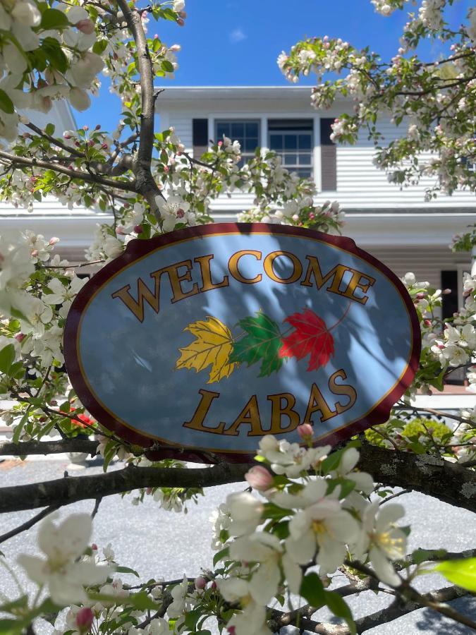 Williston Village Inn Burlington Exterior foto